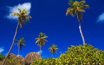 British Virgin Islands itinerary