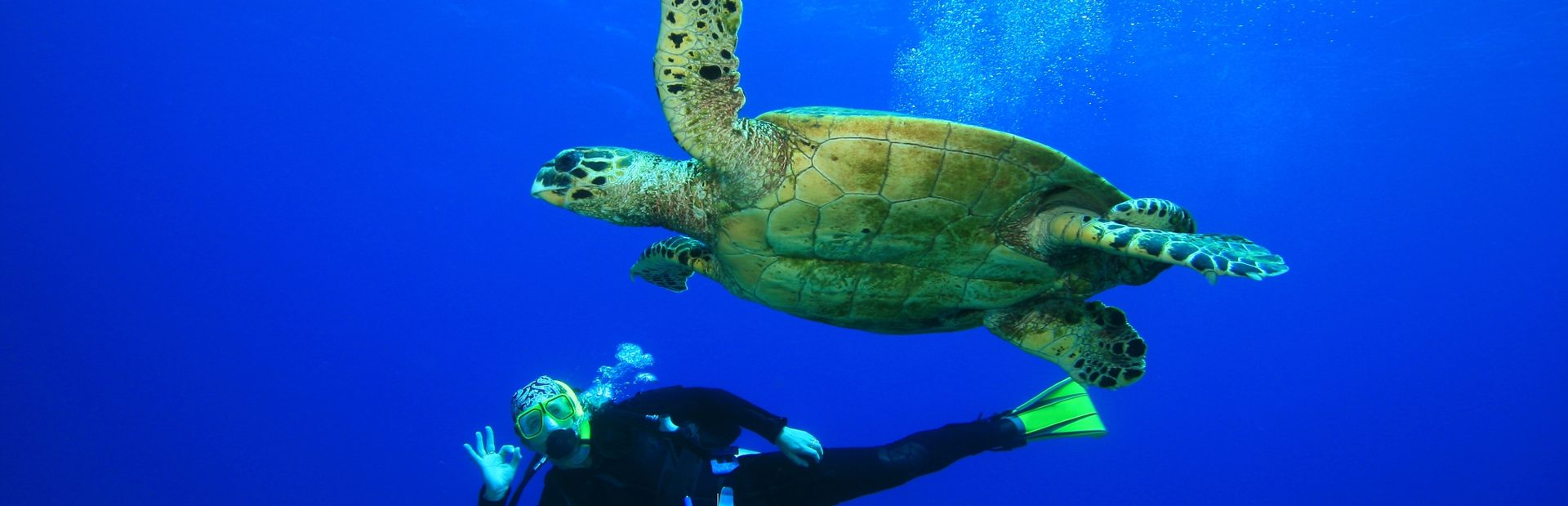 8 of the Best Diving Sites in the Eastern Caribbean