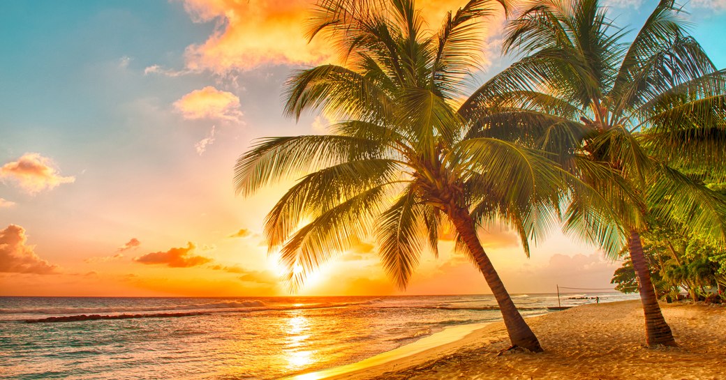 Caribbean beach at sunset with palm trees