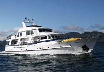 Glacier Bear Yacht Charter in Alaska