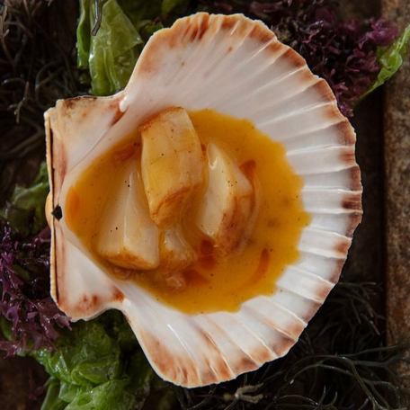 Close-up of the fresh seafood available