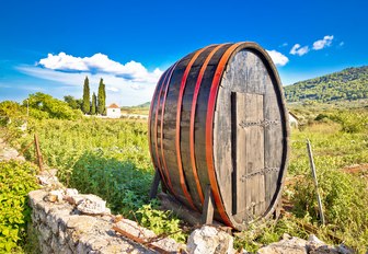 Traditional farming on Stari Grad Plains on the island of Hvar in Croatia