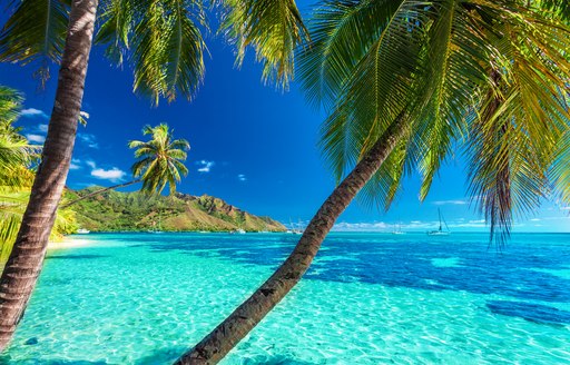 yachts anchored in French Polynesian island, Tahiti