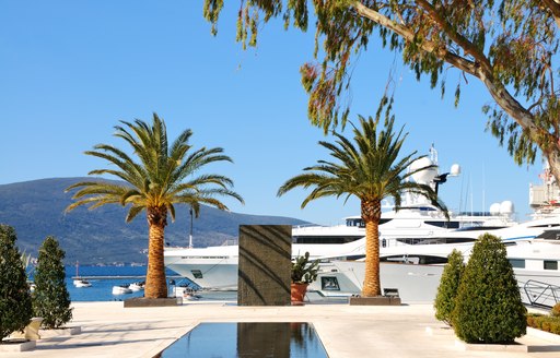 Yachts in Porto Montenegro